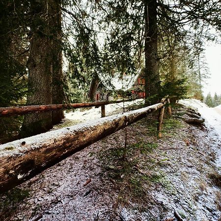 Chalet Stara Jelka Pokljuka Zgornje Gorje Eksteriør billede