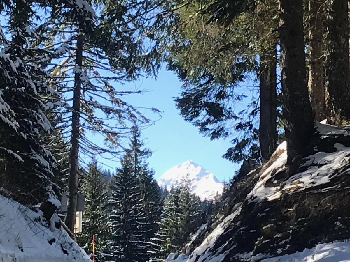 Chalet Stara Jelka Pokljuka Zgornje Gorje Eksteriør billede