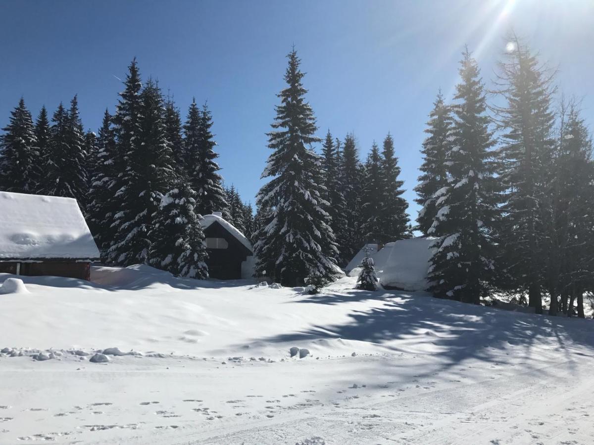 Chalet Stara Jelka Pokljuka Zgornje Gorje Eksteriør billede