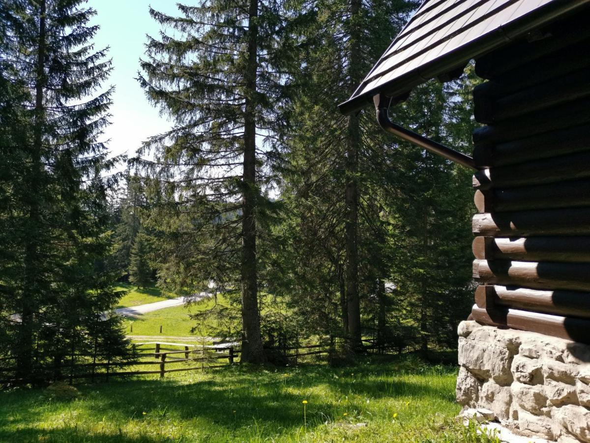 Chalet Stara Jelka Pokljuka Zgornje Gorje Eksteriør billede