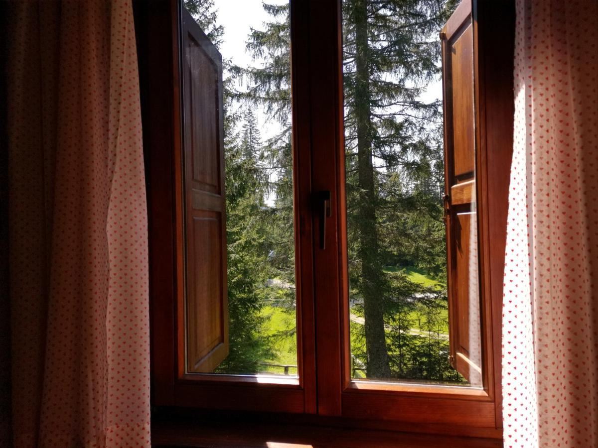 Chalet Stara Jelka Pokljuka Zgornje Gorje Eksteriør billede