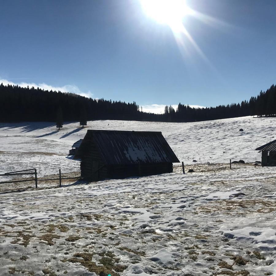 Chalet Stara Jelka Pokljuka Zgornje Gorje Eksteriør billede