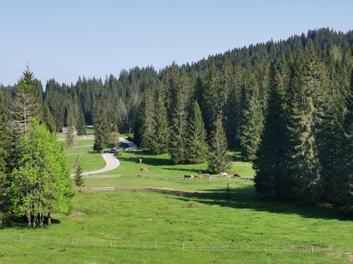 Chalet Stara Jelka Pokljuka Zgornje Gorje Eksteriør billede