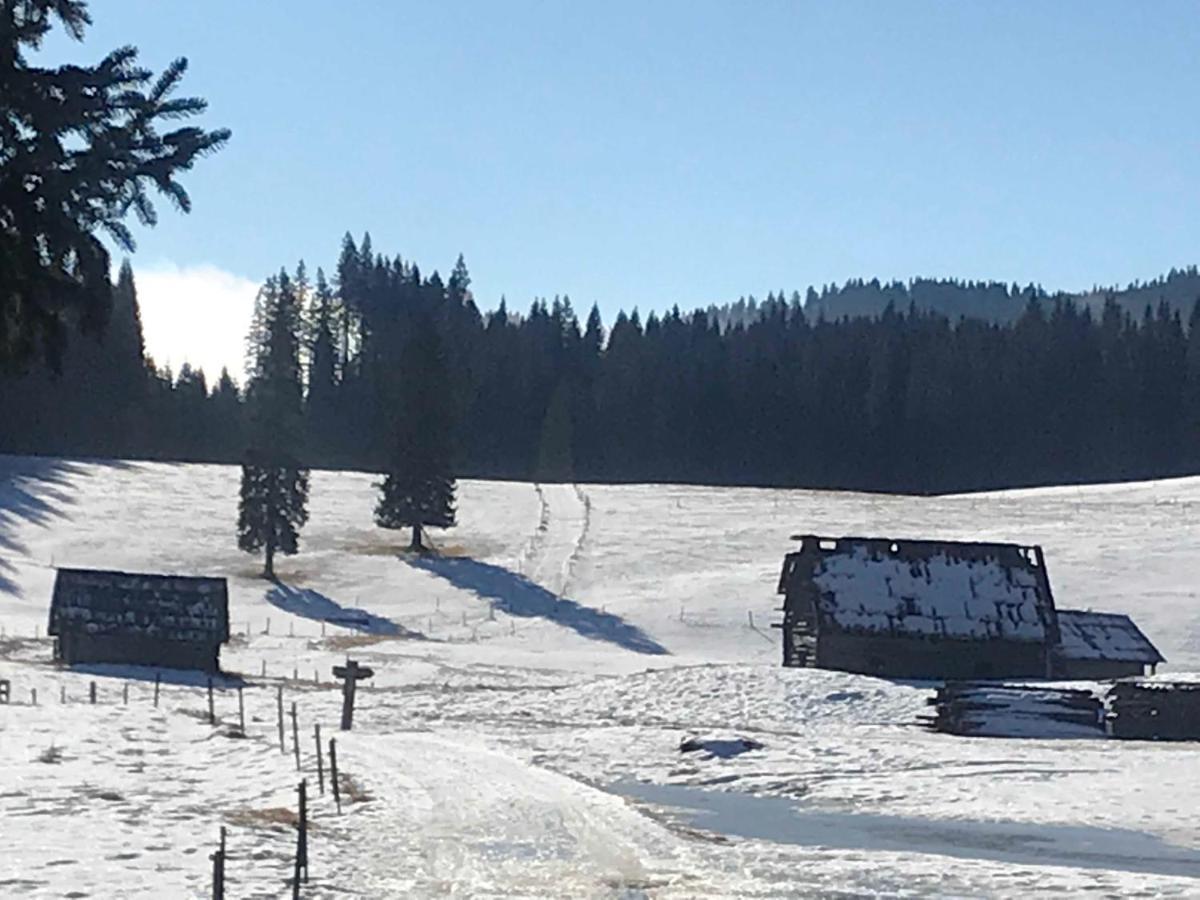 Chalet Stara Jelka Pokljuka Zgornje Gorje Eksteriør billede