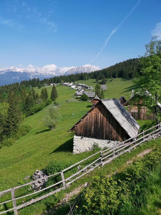 Chalet Stara Jelka Pokljuka Zgornje Gorje Eksteriør billede