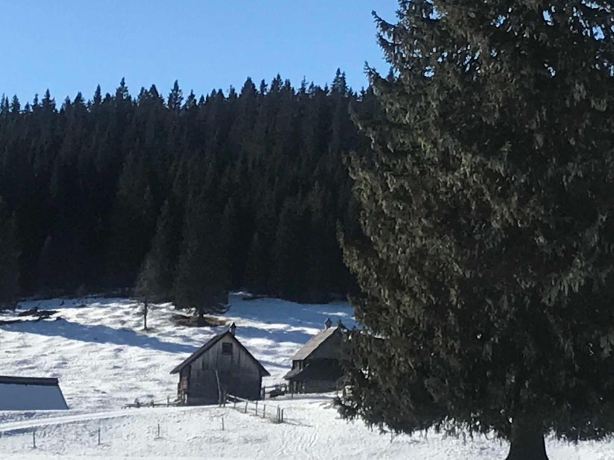 Chalet Stara Jelka Pokljuka Zgornje Gorje Eksteriør billede