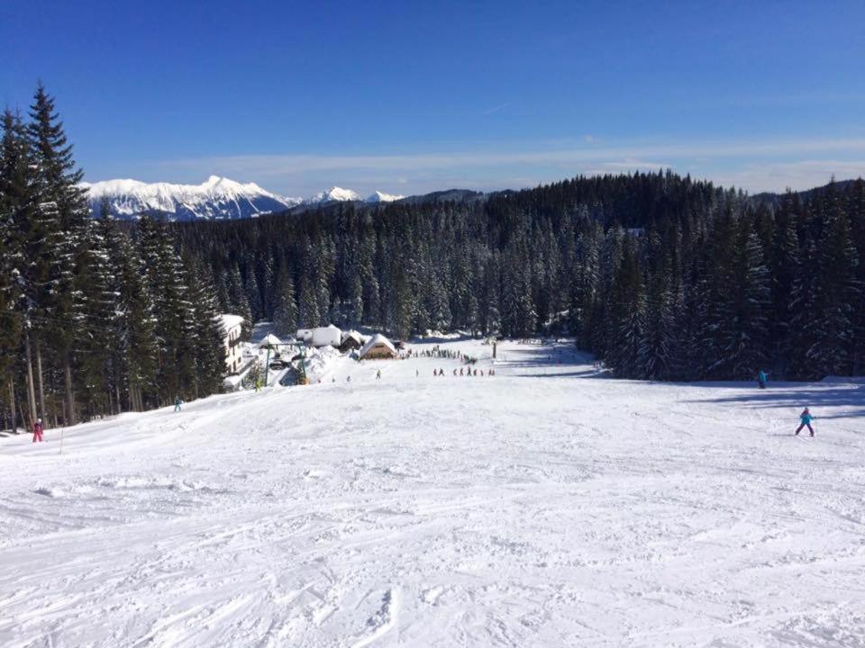 Chalet Stara Jelka Pokljuka Zgornje Gorje Eksteriør billede