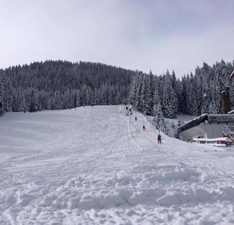 Chalet Stara Jelka Pokljuka Zgornje Gorje Eksteriør billede