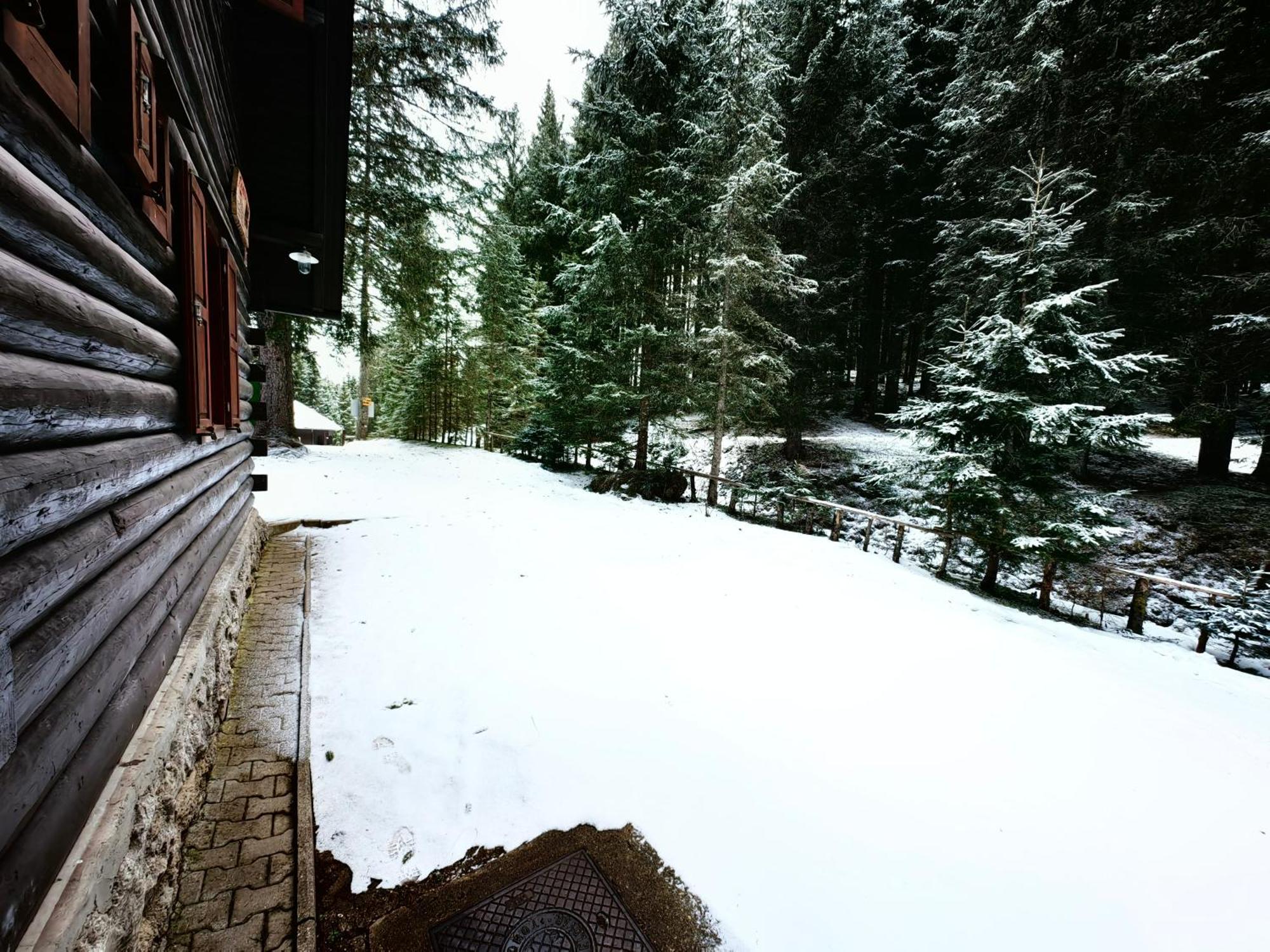 Chalet Stara Jelka Pokljuka Zgornje Gorje Eksteriør billede
