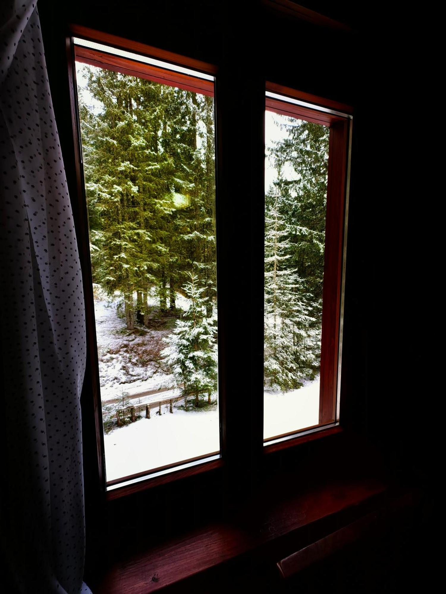 Chalet Stara Jelka Pokljuka Zgornje Gorje Eksteriør billede