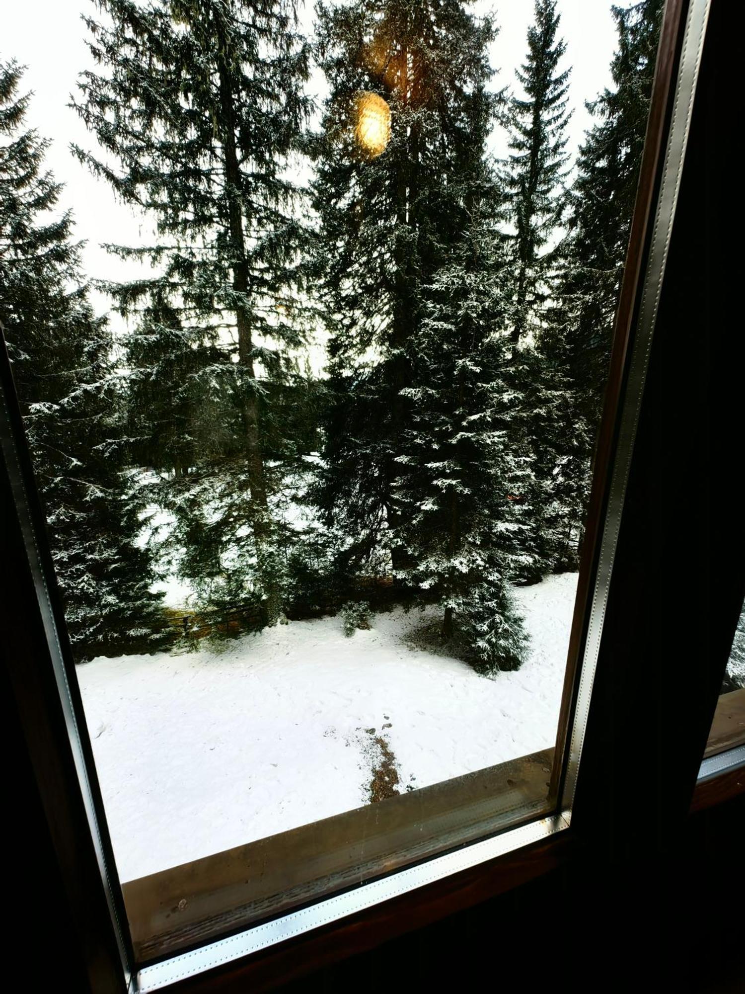Chalet Stara Jelka Pokljuka Zgornje Gorje Eksteriør billede